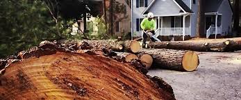 Best Soil Testing and Treatment  in Palm Beach, FL