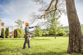 Lawn Maintenance Plans in Palm Beach, FL