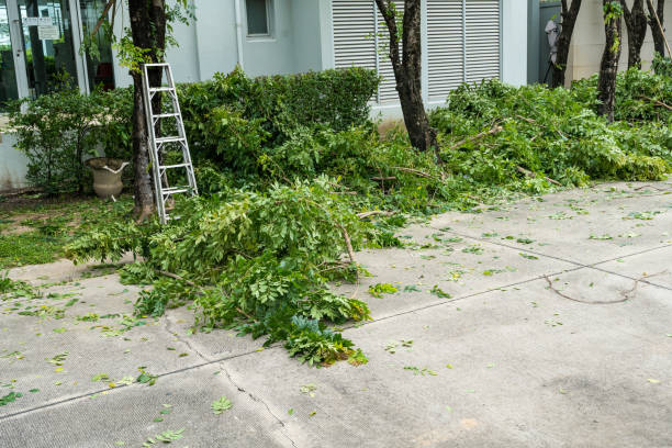 Artificial Turf Installation in Palm Beach, FL